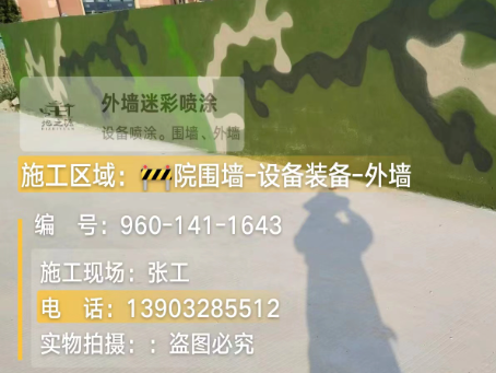 甘南 迷彩漆喷涂价格（按平方米计费）